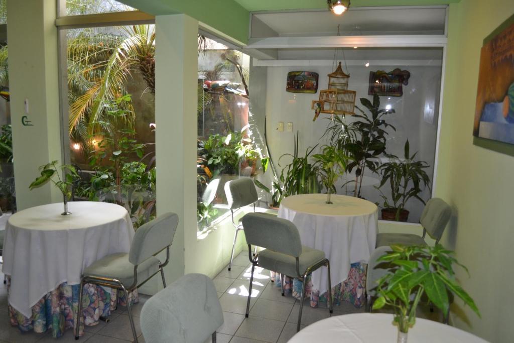 Hotel Amalfi Асунсьон Экстерьер фото